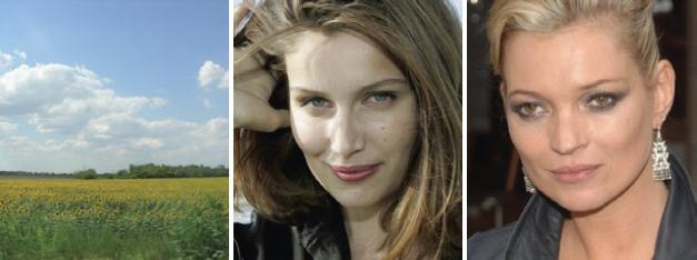 Иллюстрация к книге — Основы личного стиля [_064.jpg]