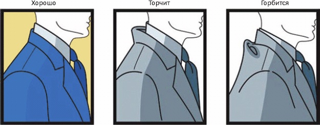 Иллюстрация к книге — Основы личного стиля [_251.jpg]