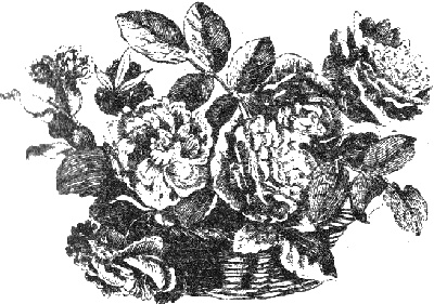 Иллюстрация к книге — Вишенка. 2 том [i_001.jpg]