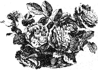 Иллюстрация к книге — Вишенка. 1 том [i_001.jpg]