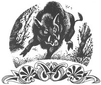 Иллюстрация к книге — Рождение воина [_08.jpg]