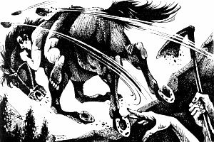 Иллюстрация к книге — Кровное родство [i_027.jpg]