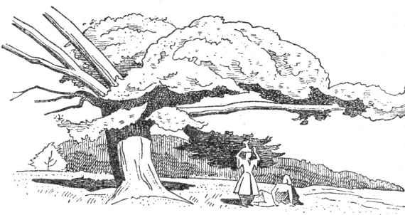 Иллюстрация к книге — Александр Македонский. Победитель [i_004.jpg]