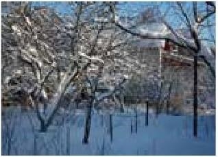 Иллюстрация к книге — Рабочий календарь дачника, или Рабочие будни на даче [b00000022.jpg]