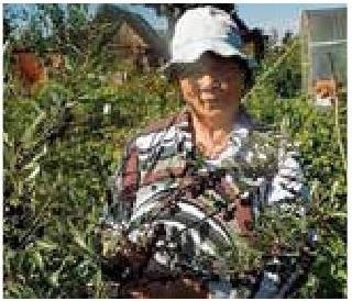 Иллюстрация к книге — Рабочий календарь дачника, или Рабочие будни на даче [b00000079.jpg]