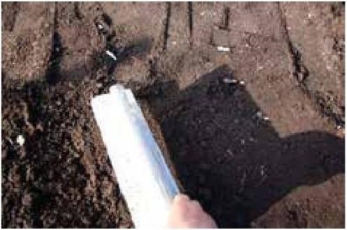 Иллюстрация к книге — Рабочий календарь дачника, или Рабочие будни на даче [b00000559.jpg]