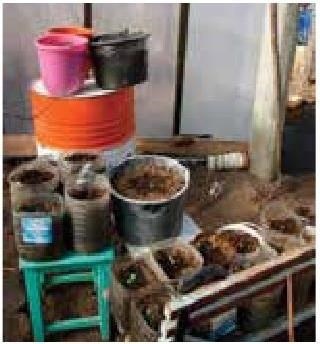 Иллюстрация к книге — Рабочий календарь дачника, или Рабочие будни на даче [b00000606.jpg]