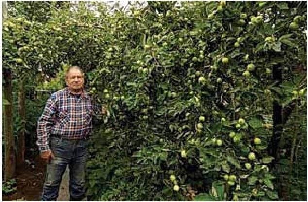 Иллюстрация к книге — Рабочий календарь дачника, или Рабочие будни на даче [b00001123.jpg]