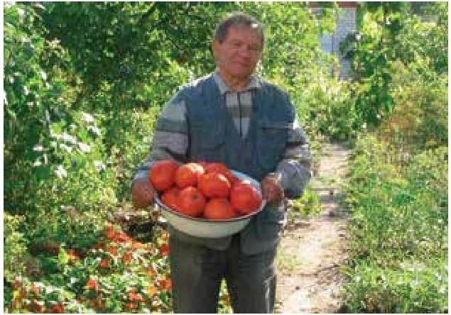 Иллюстрация к книге — Рабочий календарь дачника, или Рабочие будни на даче [b00001220.jpg]