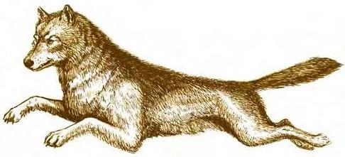 Иллюстрация к книге — Суворов &amp; бизнес. Стратегия без права на забвение [b00000019.jpg]