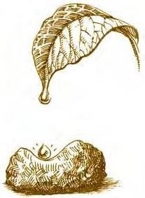 Иллюстрация к книге — Суворов &amp; бизнес. Стратегия без права на забвение [b00000159.jpg]