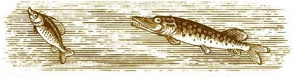 Иллюстрация к книге — Суворов &amp; бизнес. Стратегия без права на забвение [b00000168.jpg]