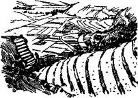 Иллюстрация к книге — Последний инка [any2fbimgloader6.jpg]