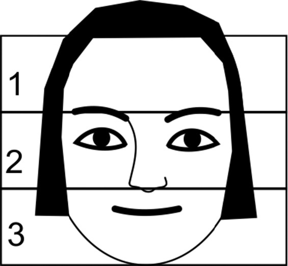 Иллюстрация к книге — Читай лица! Специальная методика чтения лиц и эмоций [i_018.jpg]