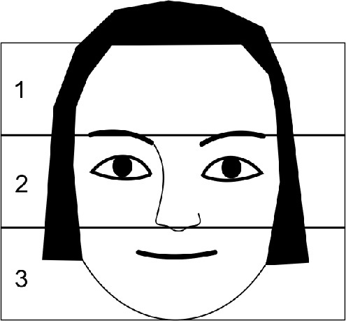 Иллюстрация к книге — Читай лица! Специальная методика чтения лиц и эмоций [i_161.jpg]