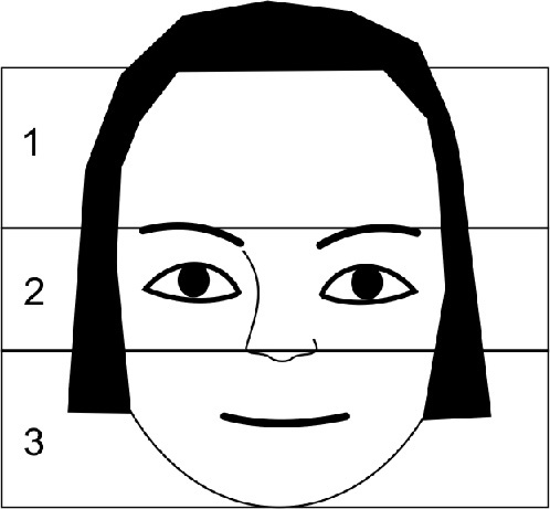 Иллюстрация к книге — Читай лица! Специальная методика чтения лиц и эмоций [i_163.jpg]