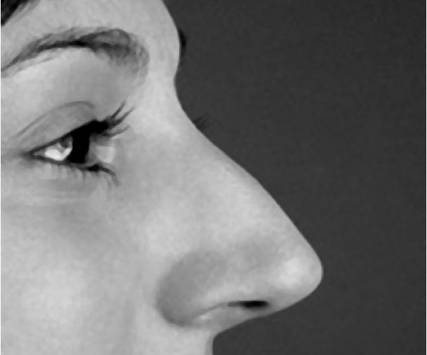 Иллюстрация к книге — Читай лица! Специальная методика чтения лиц и эмоций [i_181.jpg]