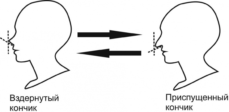 Иллюстрация к книге — Читай лица! Специальная методика чтения лиц и эмоций [i_185.jpg]