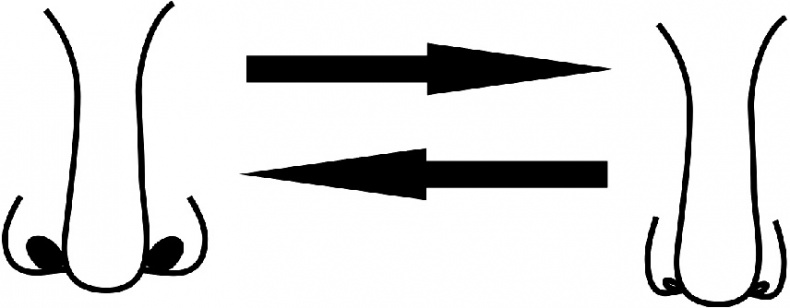 Иллюстрация к книге — Читай лица! Специальная методика чтения лиц и эмоций [i_191.jpg]