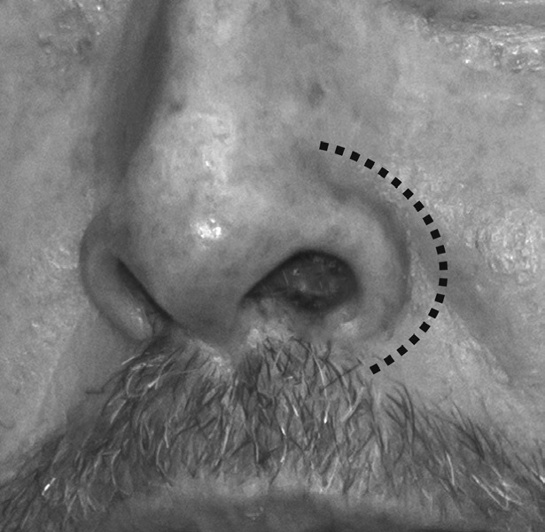 Иллюстрация к книге — Читай лица! Специальная методика чтения лиц и эмоций [i_215.jpg]