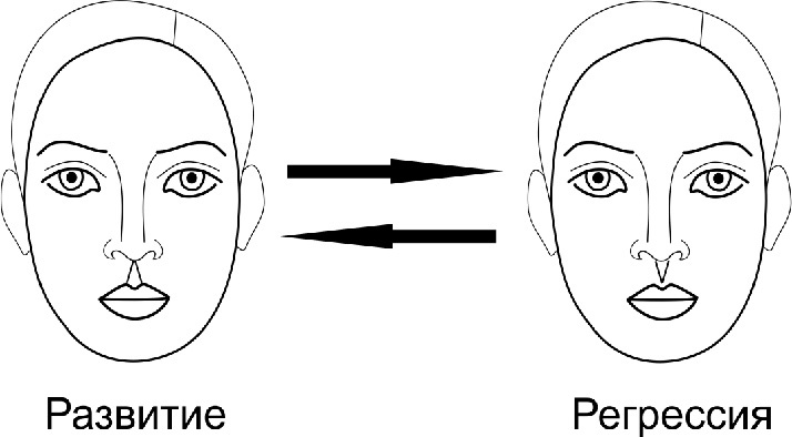 Иллюстрация к книге — Читай лица! Специальная методика чтения лиц и эмоций [i_259.jpg]