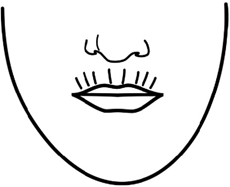 Иллюстрация к книге — Читай лица! Специальная методика чтения лиц и эмоций [i_263.jpg]