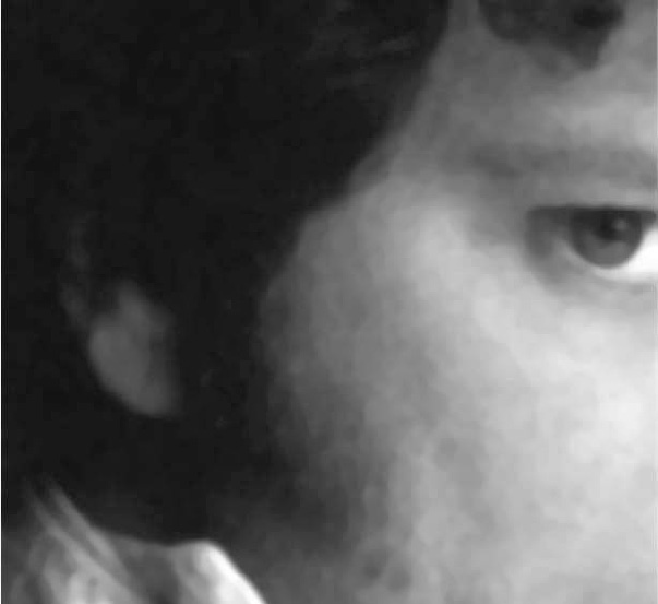 Иллюстрация к книге — Читай лица! Специальная методика чтения лиц и эмоций [i_295.jpg]