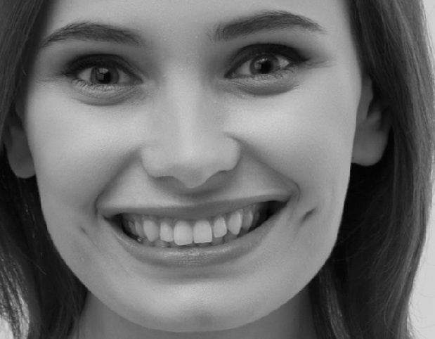 Иллюстрация к книге — Читай лица! Специальная методика чтения лиц и эмоций [i_315.jpg]