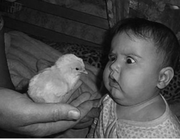 Иллюстрация к книге — Читай лица! Специальная методика чтения лиц и эмоций [i_326.jpg]