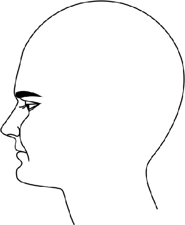 Иллюстрация к книге — Читай лица! Специальная методика чтения лиц и эмоций [i_346.jpg]