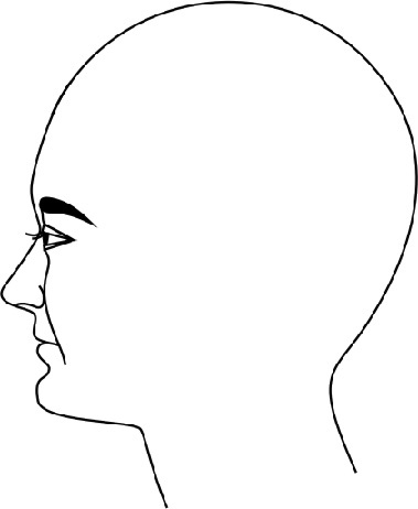 Иллюстрация к книге — Читай лица! Специальная методика чтения лиц и эмоций [i_349.jpg]