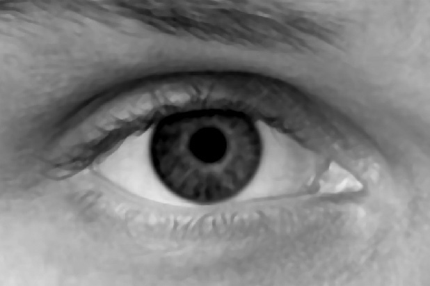 Иллюстрация к книге — Читай лица! Специальная методика чтения лиц и эмоций [i_358.jpg]