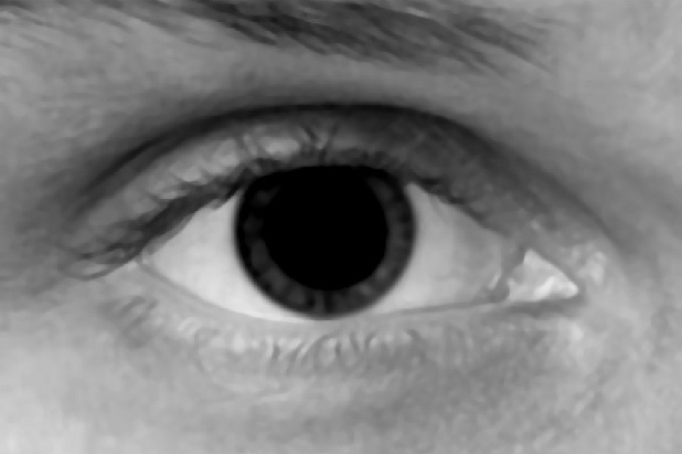 Иллюстрация к книге — Читай лица! Специальная методика чтения лиц и эмоций [i_360.jpg]