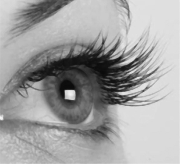 Иллюстрация к книге — Читай лица! Специальная методика чтения лиц и эмоций [i_366.jpg]