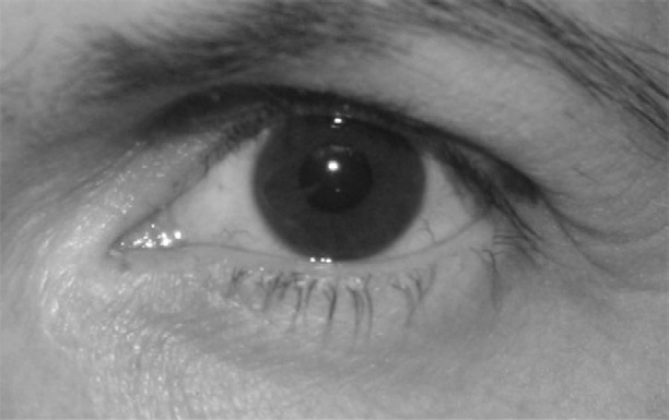 Иллюстрация к книге — Читай лица! Специальная методика чтения лиц и эмоций [i_370.jpg]