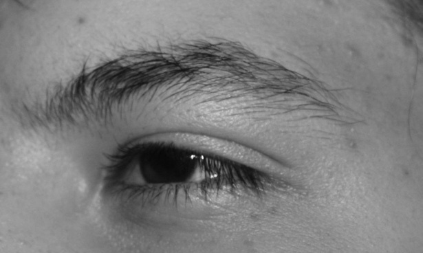 Иллюстрация к книге — Читай лица! Специальная методика чтения лиц и эмоций [i_405.jpg]