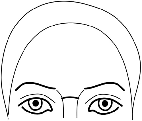 Иллюстрация к книге — Читай лица! Специальная методика чтения лиц и эмоций [i_427.jpg]