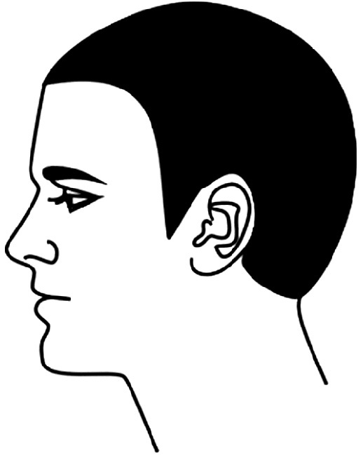 Иллюстрация к книге — Читай лица! Специальная методика чтения лиц и эмоций [i_434.jpg]