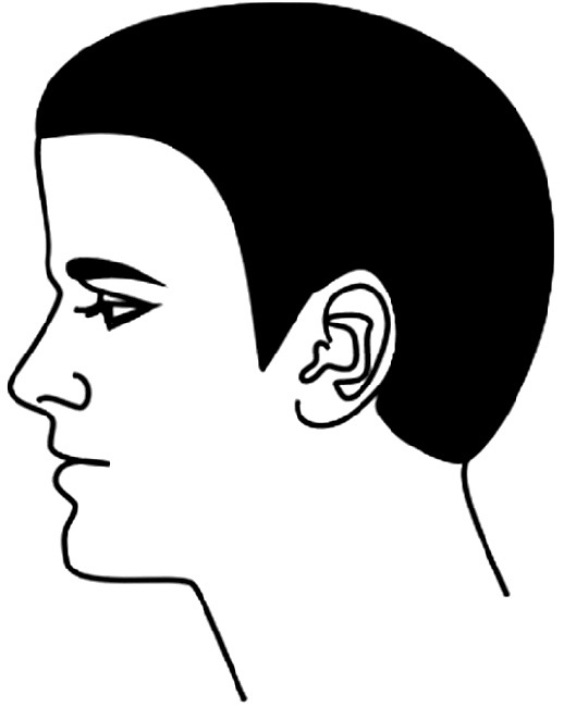 Иллюстрация к книге — Читай лица! Специальная методика чтения лиц и эмоций [i_435.jpg]