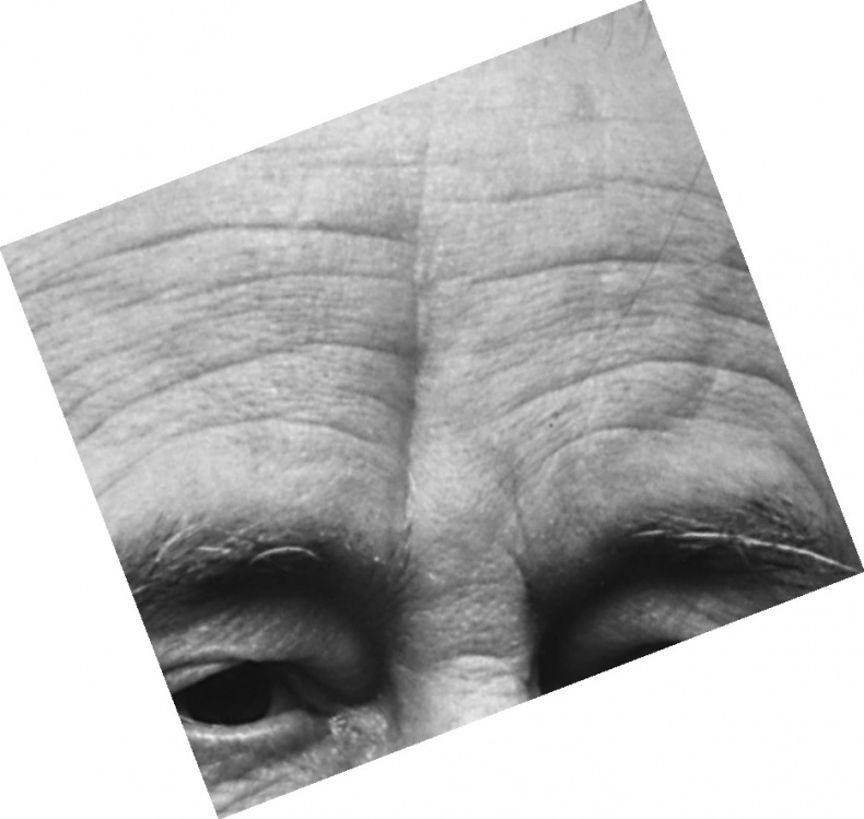 Иллюстрация к книге — Читай лица! Специальная методика чтения лиц и эмоций [i_443.jpg]