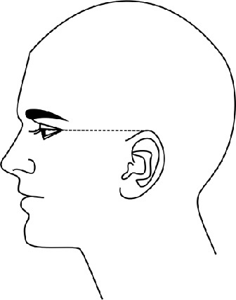 Иллюстрация к книге — Читай лица! Специальная методика чтения лиц и эмоций [i_459.jpg]