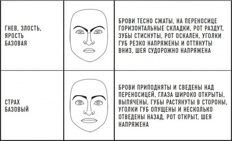 Иллюстрация к книге — Читай лица! Специальная методика чтения лиц и эмоций [i_475.jpg]