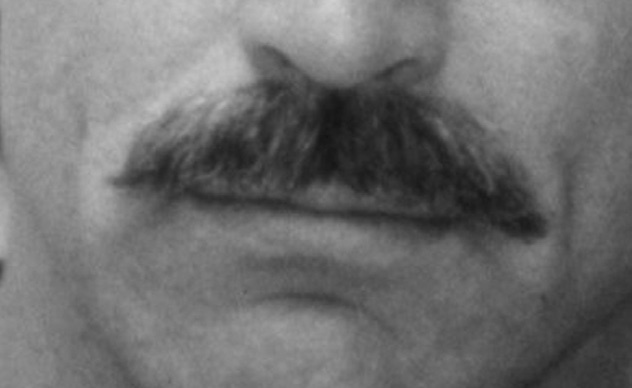 Иллюстрация к книге — Читай лица! Специальная методика чтения лиц и эмоций [i_501.jpg]