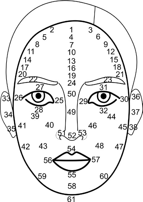 Иллюстрация к книге — Читай лица! Специальная методика чтения лиц и эмоций [i_524.jpg]