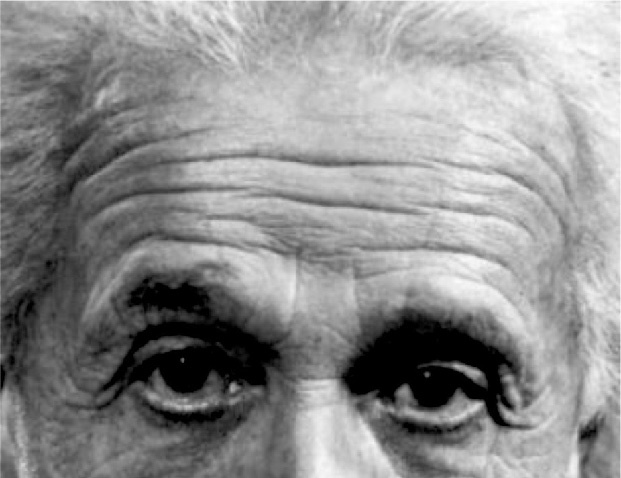 Иллюстрация к книге — Читай лица! Специальная методика чтения лиц и эмоций [i_543.jpg]