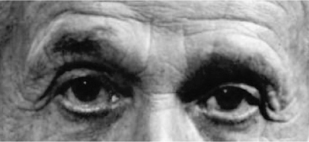 Иллюстрация к книге — Читай лица! Специальная методика чтения лиц и эмоций [i_544.jpg]