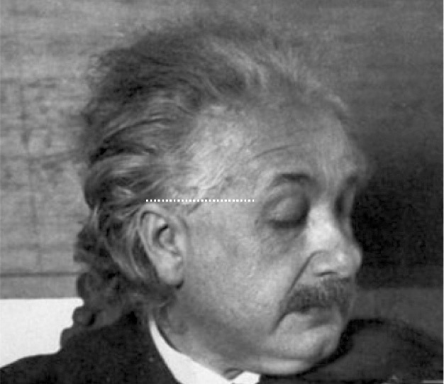 Иллюстрация к книге — Читай лица! Специальная методика чтения лиц и эмоций [i_546.jpg]