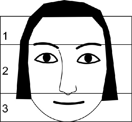 Иллюстрация к книге — Читай лица! Специальная методика чтения лиц и эмоций [i_553.jpg]