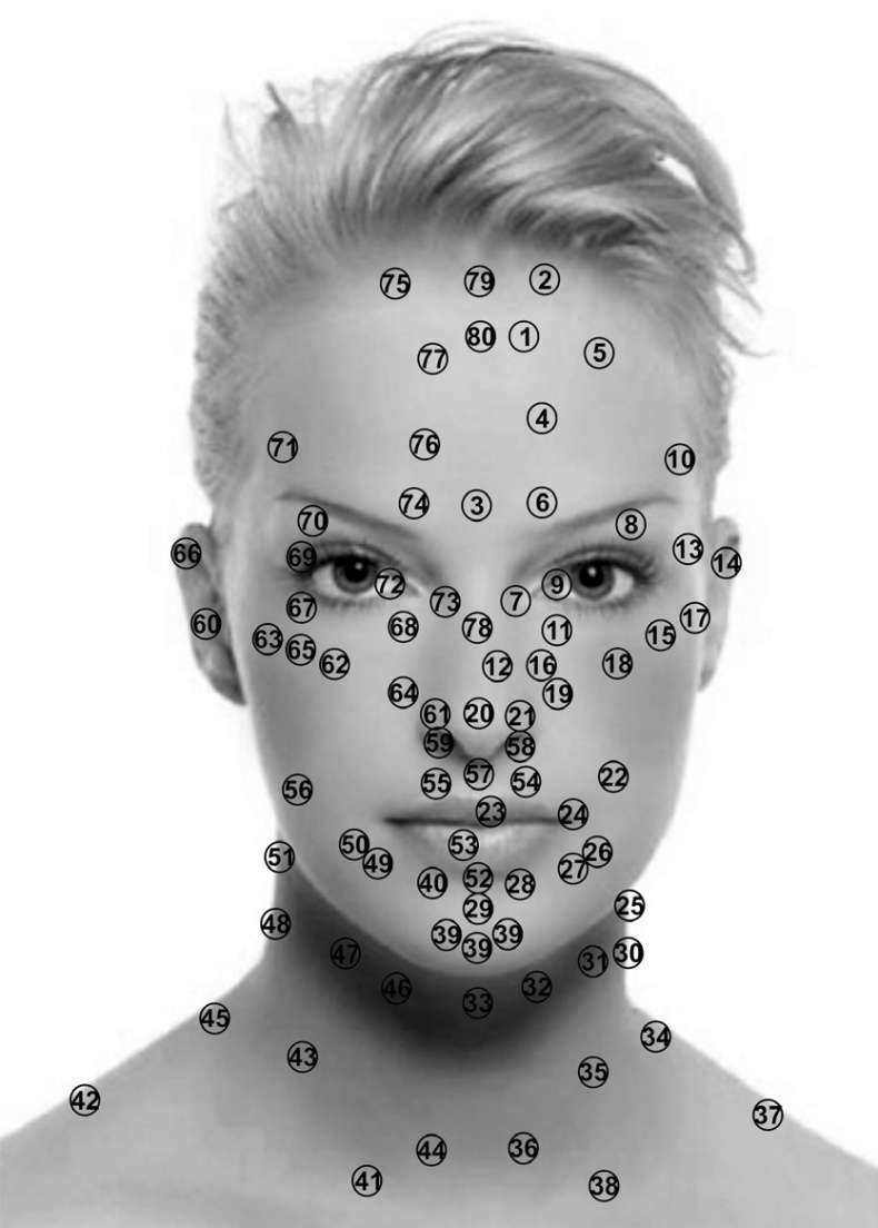 Иллюстрация к книге — Читай лица! Специальная методика чтения лиц и эмоций [i_562.jpg]