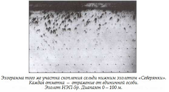 Иллюстрация к книге — Подводная одиссея. "Северянка" штурмует океан [i_018.jpg]